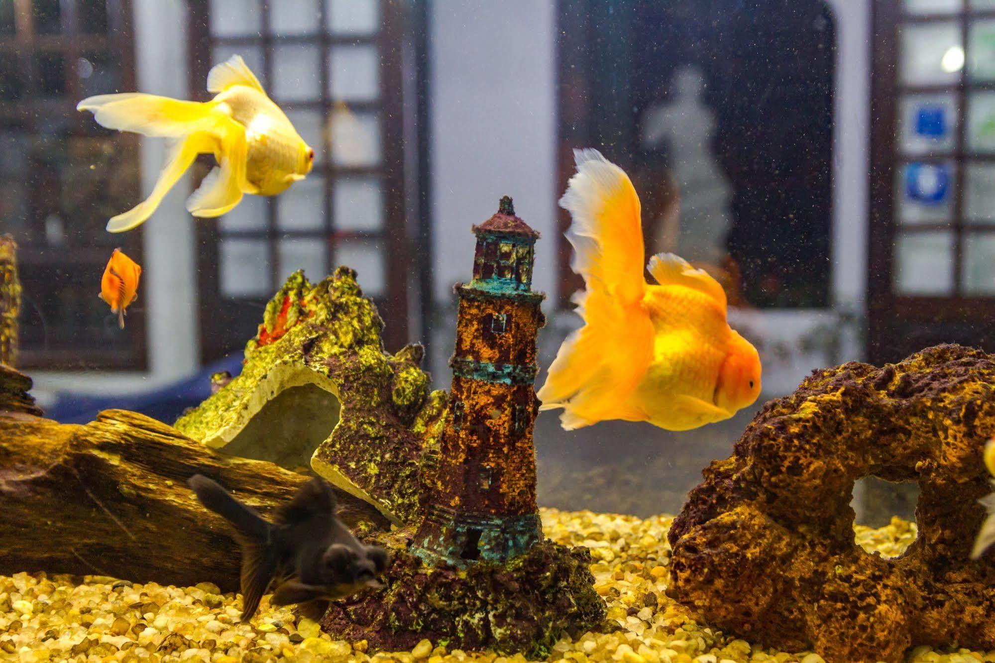 Pousada Torre Del Mar Ubatuba Kültér fotó